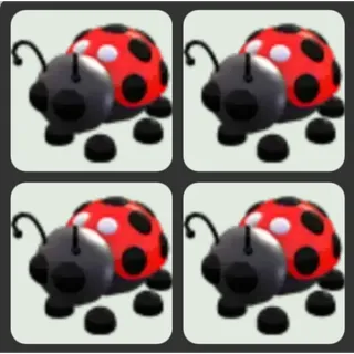x4 Ladybug
