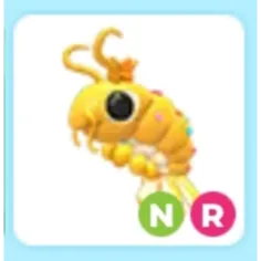 NR Priceless Shrimp