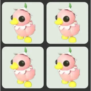 x4 Flower Power Duckling
