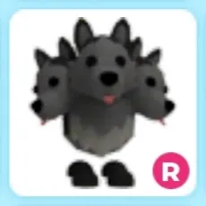 R Cerberus