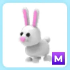 M Bunny 