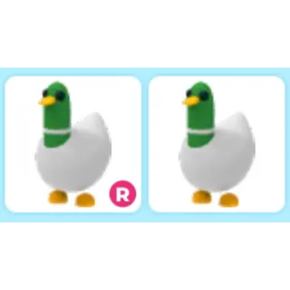 x2 Silly Duck 