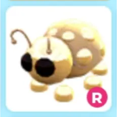 R Golden Ladybug