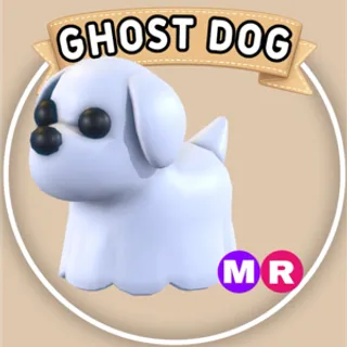 MR Ghost Dog