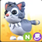 N Alley Cat