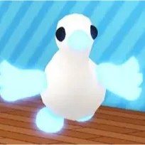 Neon Fr Goose