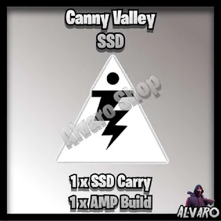 Bundle | canny valley SSD X1