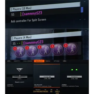 BO3 | Black ops 3 | Level 1000 + MODDED COLORED NAME + Dark Matter + UNLOCK ALL (ALL SPECIALIST) *PS4/5*