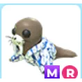 Mega R Summer walrus