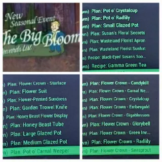Big Bloom All 26 Plans