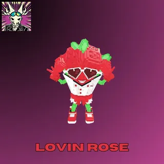 Lovin Rose
