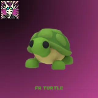 Fr Turtle