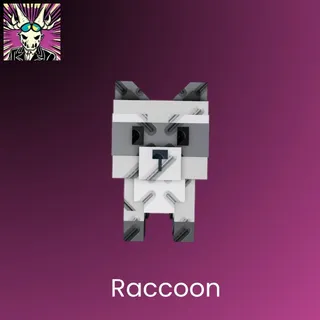 Raccoon