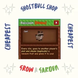 Raccoon