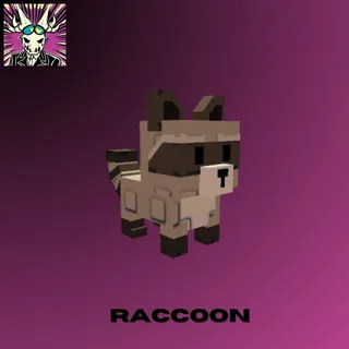 RACCOON