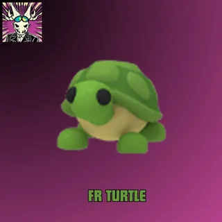 Fr Turtle