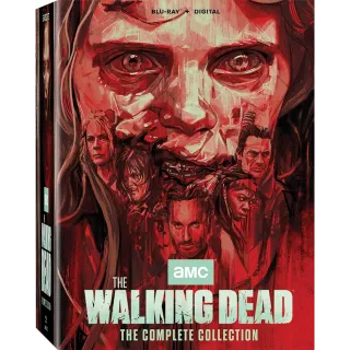 THE WALKING DEAD - SEASON 1 - 11 / 🇺🇸 / HD VUDU