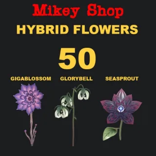 Hybrid Flowers for Susan’s Soothin tea