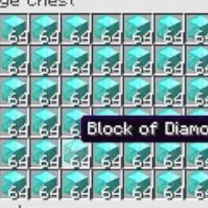 64 BLOCKS OF DIAMOND