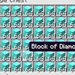 64 BLOCKS OF DIAMOND