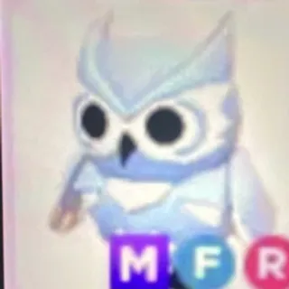 snow owl