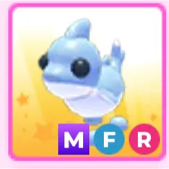 MFR Shark Puppy