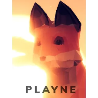 PLAYNE : The Meditation Game