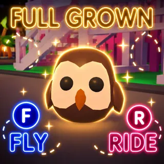 FR Owl- Adopt me