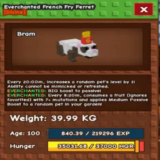20M FRENCH FRY FERRET