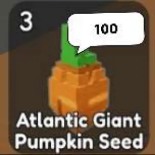 ATLANTIC GIANT PUMPKIN