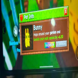 RAINBOW BUNNY GAG 2