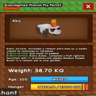 20m FRENCH FRY FERRET