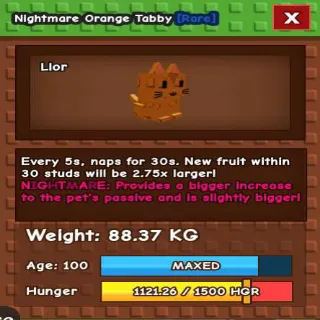 TITANIC ORANGE TABBY