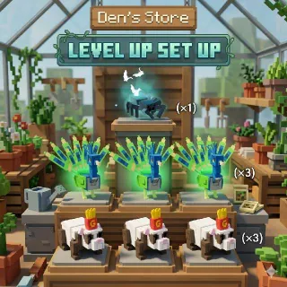 LEVEL UP SET UP