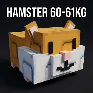 HUGE HAMSTER 60-61KG