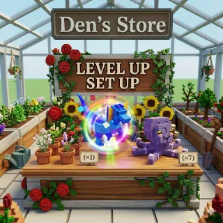 LEVEL UP SET UP