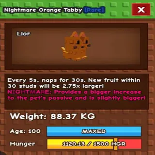 TITANIC ORANGE TABBY