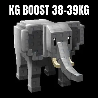 KG BOOST TO 38-39KG
