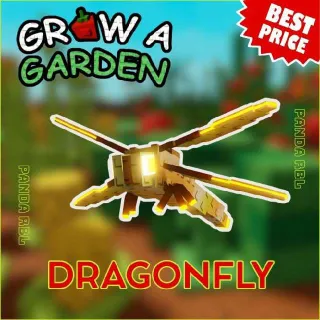 x5 DRAGON FLY