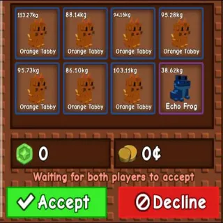 ORANGE TABBY SET & ECHO