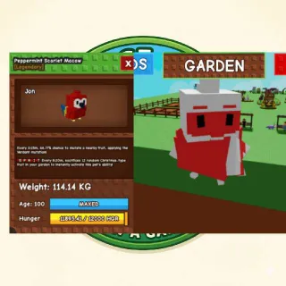 PEPPERMINT SCARLET MACAW