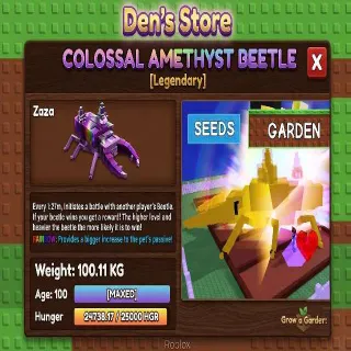 COLOSSAL AMETHYST BEETLE