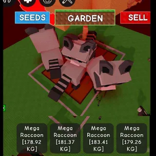 MEGA RACCOONS 4PCS