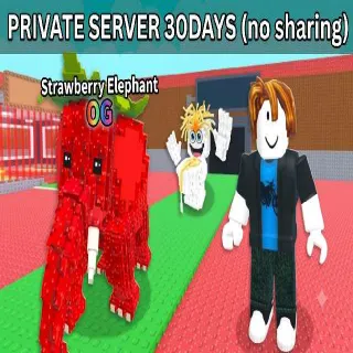 PRIVATE SERVER 30 DAYS