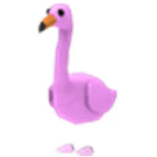 FR Flamingo
