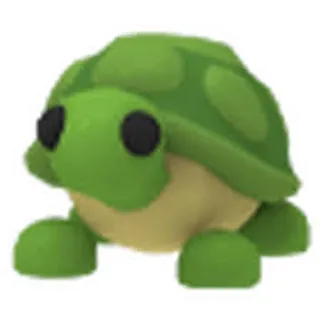 FR Turtle