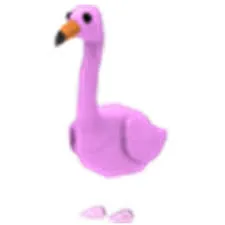 NFR Flamingo