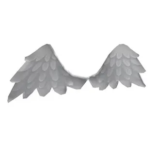 Angel Wings