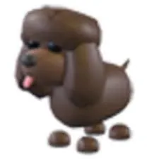 NFR Irish Water Spaniel