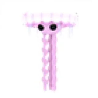 FR Jellyfish